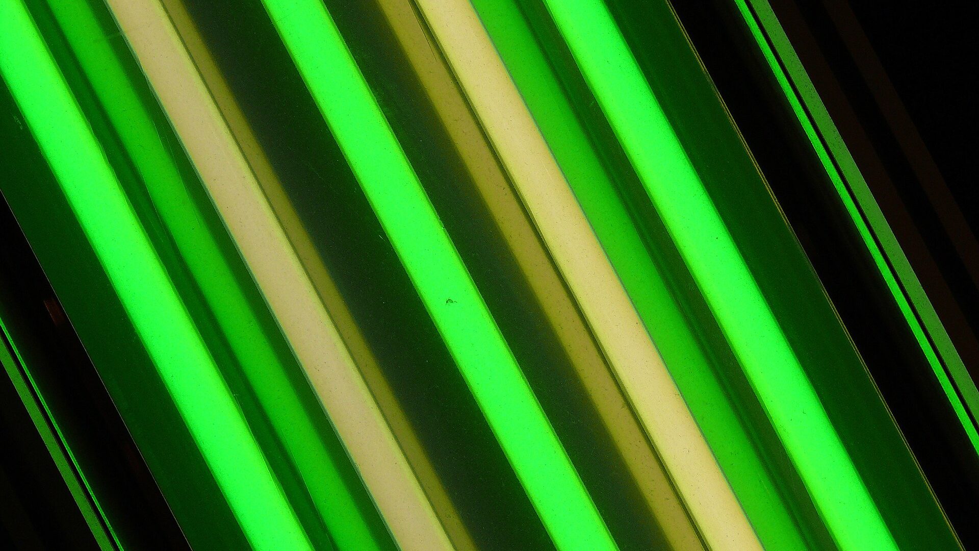 Close-up of parallel green and white glowing neon tube runs